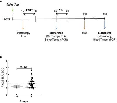 Trypanosoma cruzi antigen detection in blood to assess treatment efficacy and cure in mice models of Chagas disease